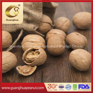 Hot Sales New Crop Walnut in Shell